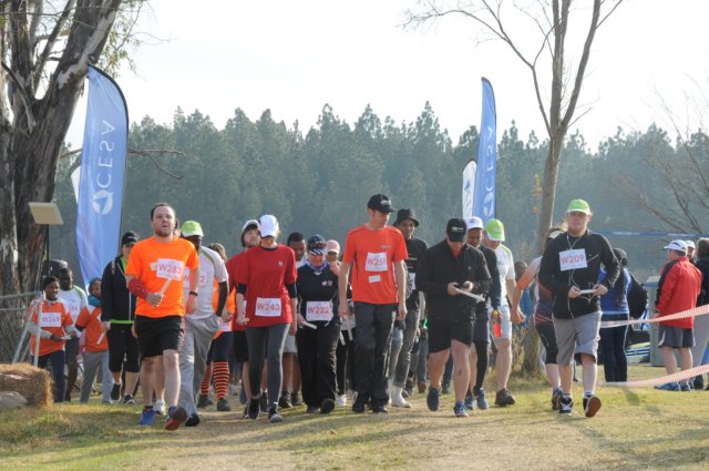 cesa_2017_27.jpg